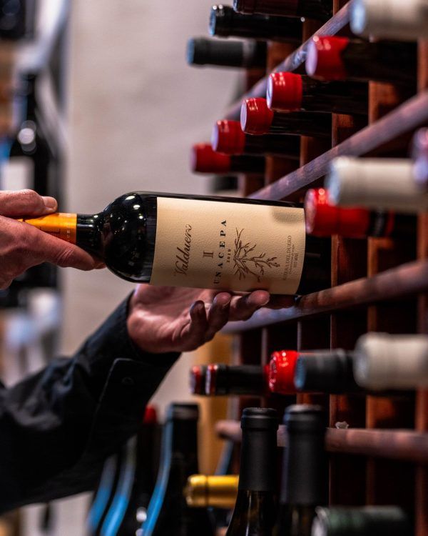 Bodega Taberna Madrid