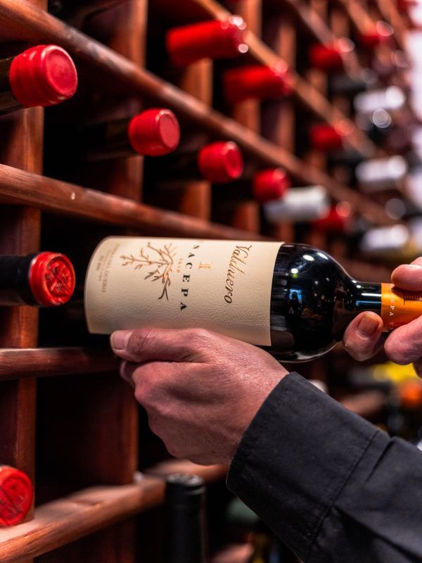 Vinos y Maridajes Taberna Madrid